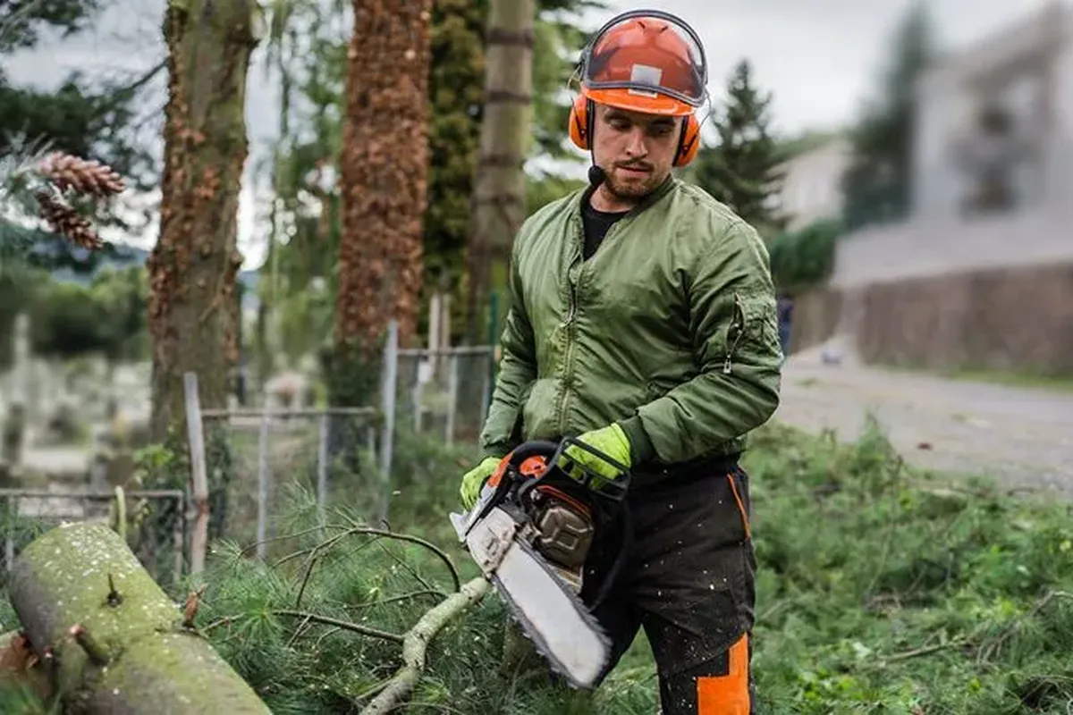 Chainsaw pants Ireland