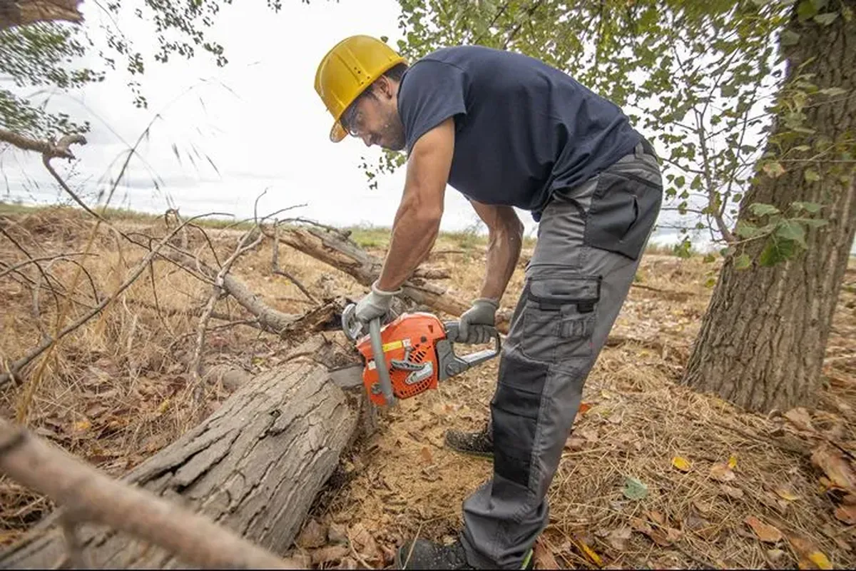 Chainsaw trousers Ireland guide